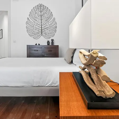 Elegant S. Miguel Apartment *