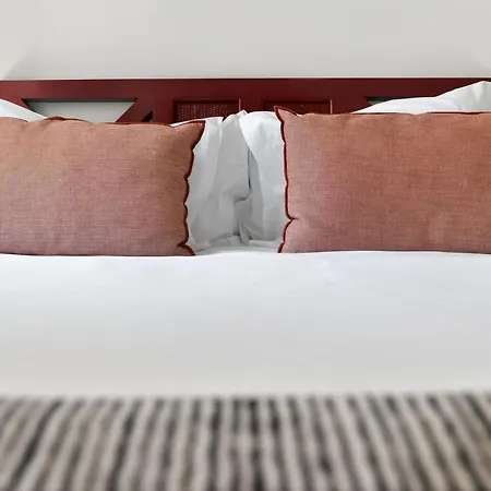 Elegant S. Miguel Apartment